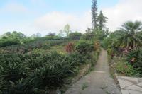 Botanischer Garten