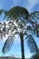 Botanischer Garten &ndash; &copy; Daniela Paulan (Eberhardt TRAVEL)