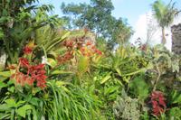 Botanischer Garten &ndash; &copy; Daniela Paulan (Eberhardt TRAVEL)