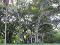 Botanischer Garten &ndash; &copy; Daniela Paulan (Eberhardt TRAVEL)
