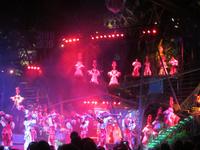 Tropicana-Show &ndash; &copy; Daniela Paulan (Eberhardt TRAVEL)
