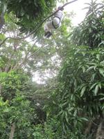 Zip-Lining &ndash; &copy; Daniela Paulan (Eberhardt TRAVEL)