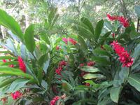 Orchideen-Garten &ndash; &copy; Daniela Paulan (Eberhardt TRAVEL)