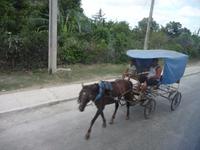 Verkehr &ndash; &copy; Elisabeth Fox-Maerki (Eberhardt TRAVEL)