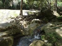 Rio San Juan Idylle &ndash; &copy; Elisabeth Fox-Maerki (Eberhardt TRAVEL)