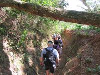 Hanabanilla (59) &ndash; &copy; Francisco Javier Burgos Gutierrez (Eberhardt TRAVEL)