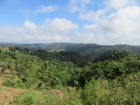 Sierra del Escambray (4) &ndash; &copy; Francisco Javier Burgos Gutierrez (Eberhardt TRAVEL)