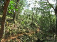 Sierra del Escambray (7) &ndash; &copy; Francisco Javier Burgos Gutierrez (Eberhardt TRAVEL)