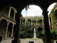 Havanna (21) &ndash; &copy; Francisco Javier Burgos Gutierrez (Eberhardt TRAVEL)
