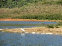 Hanabanilla (6) &ndash; &copy; Francisco Javier Burgos Gutierrez (Eberhardt TRAVEL)