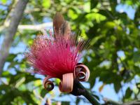 Hanabanilla (37) &ndash; &copy; Francisco Javier Burgos Gutierrez (Eberhardt TRAVEL)