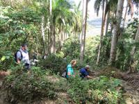 Hanabanilla (67) &ndash; &copy; Francisco Javier Burgos Gutierrez (Eberhardt TRAVEL)