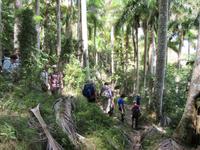 Hanabanilla (70) &ndash; &copy; Francisco Javier Burgos Gutierrez (Eberhardt TRAVEL)