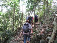 Sierra del Escambray (17) &ndash; &copy; Francisco Javier Burgos Gutierrez (Eberhardt TRAVEL)
