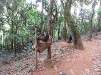 Sierra del Escambray (20) &ndash; &copy; Francisco Javier Burgos Gutierrez (Eberhardt TRAVEL)
