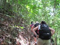 Sierra del Escambray (39) &ndash; &copy; Francisco Javier Burgos Gutierrez (Eberhardt TRAVEL)