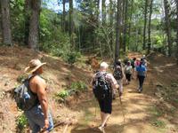 Sierra del Escambray (47) &ndash; &copy; Francisco Javier Burgos Gutierrez (Eberhardt TRAVEL)