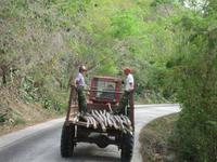 Sierra del Escambray (58) &ndash; &copy; Francisco Javier Burgos Gutierrez (Eberhardt TRAVEL)