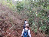 Sierra Mestra (5) &ndash; &copy; Francisco Javier Burgos Gutierrez (Eberhardt TRAVEL)