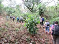 Sierra Mestra (18) &ndash; &copy; Francisco Javier Burgos Gutierrez (Eberhardt TRAVEL)