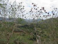 Sierra Mestra (83) &ndash; &copy; Francisco Javier Burgos Gutierrez (Eberhardt TRAVEL)