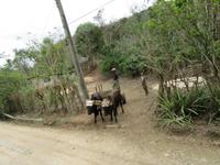 Sierra Mestra (89) &ndash; &copy; Francisco Javier Burgos Gutierrez (Eberhardt TRAVEL)