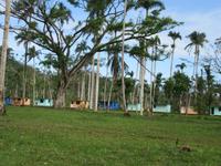 Rio Duaba (4) &ndash; &copy; Francisco Javier Burgos Gutierrez (Eberhardt TRAVEL)