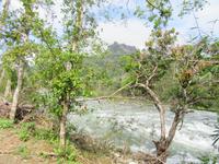 Rio Duaba (10) &ndash; &copy; Francisco Javier Burgos Gutierrez (Eberhardt TRAVEL)