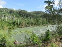 Rio Duaba (13) &ndash; &copy; Francisco Javier Burgos Gutierrez (Eberhardt TRAVEL)