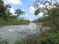 Rio Duaba (36) &ndash; &copy; Francisco Javier Burgos Gutierrez (Eberhardt TRAVEL)