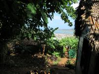 Rio Toa (9) &ndash; &copy; Francisco Javier Burgos Gutierrez (Eberhardt TRAVEL)