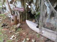 Rio Toa (14) &ndash; &copy; Francisco Javier Burgos Gutierrez (Eberhardt TRAVEL)