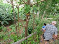 Rio Toa (22) &ndash; &copy; Francisco Javier Burgos Gutierrez (Eberhardt TRAVEL)