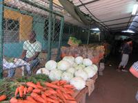 Havanna (17) &ndash; &copy; Francisco Javier Burgos Gutierrez (Eberhardt TRAVEL)