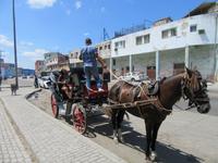Havanna (44) &ndash; &copy; Francisco Javier Burgos Gutierrez (Eberhardt TRAVEL)
