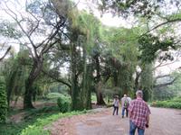 Havanna (14) &ndash; &copy; Francisco Javier Burgos Gutierrez (Eberhardt TRAVEL)