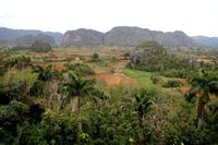 Karstlandschaft (Mogotes) in der Provinz Pinar del Rio