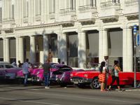 Havanna (41) &ndash; &copy; Francisco Javier Burgos Gutierrez (Eberhardt TRAVEL)