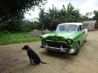 Tabakplantage Viñales (6) &ndash; &copy; Francisco Javier Burgos Gutierrez (Eberhardt TRAVEL)