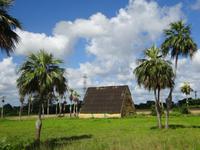 Viñales (1) &ndash; &copy; Francisco Javier Burgos Gutierrez (Eberhardt TRAVEL)