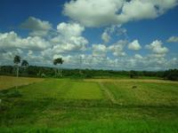 Viñales (2) &ndash; &copy; Francisco Javier Burgos Gutierrez (Eberhardt TRAVEL)
