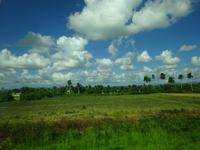 Viñales (3) &ndash; &copy; Francisco Javier Burgos Gutierrez (Eberhardt TRAVEL)