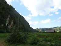 Viñales (8) &ndash; &copy; Francisco Javier Burgos Gutierrez (Eberhardt TRAVEL)