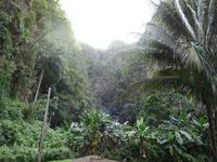 Viñales (14) &ndash; &copy; Francisco Javier Burgos Gutierrez (Eberhardt TRAVEL)