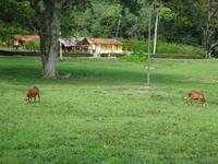 Viñales (25) &ndash; &copy; Francisco Javier Burgos Gutierrez (Eberhardt TRAVEL)