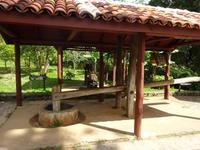 Kaffee-Plantage (8) &ndash; &copy; Francisco Javier Burgos Gutierrez (Eberhardt TRAVEL)