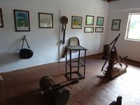 Kaffee-Plantage (11) &ndash; &copy; Francisco Javier Burgos Gutierrez (Eberhardt TRAVEL)