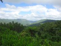Sierra del Escambray (11) &ndash; &copy; Francisco Javier Burgos Gutierrez (Eberhardt TRAVEL)