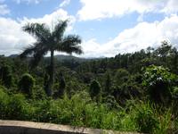 Sierra del Escambray (18) &ndash; &copy; Francisco Javier Burgos Gutierrez (Eberhardt TRAVEL)