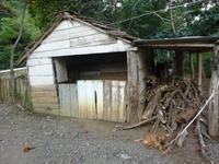 Sierra del Escambray (20) &ndash; &copy; Francisco Javier Burgos Gutierrez (Eberhardt TRAVEL)